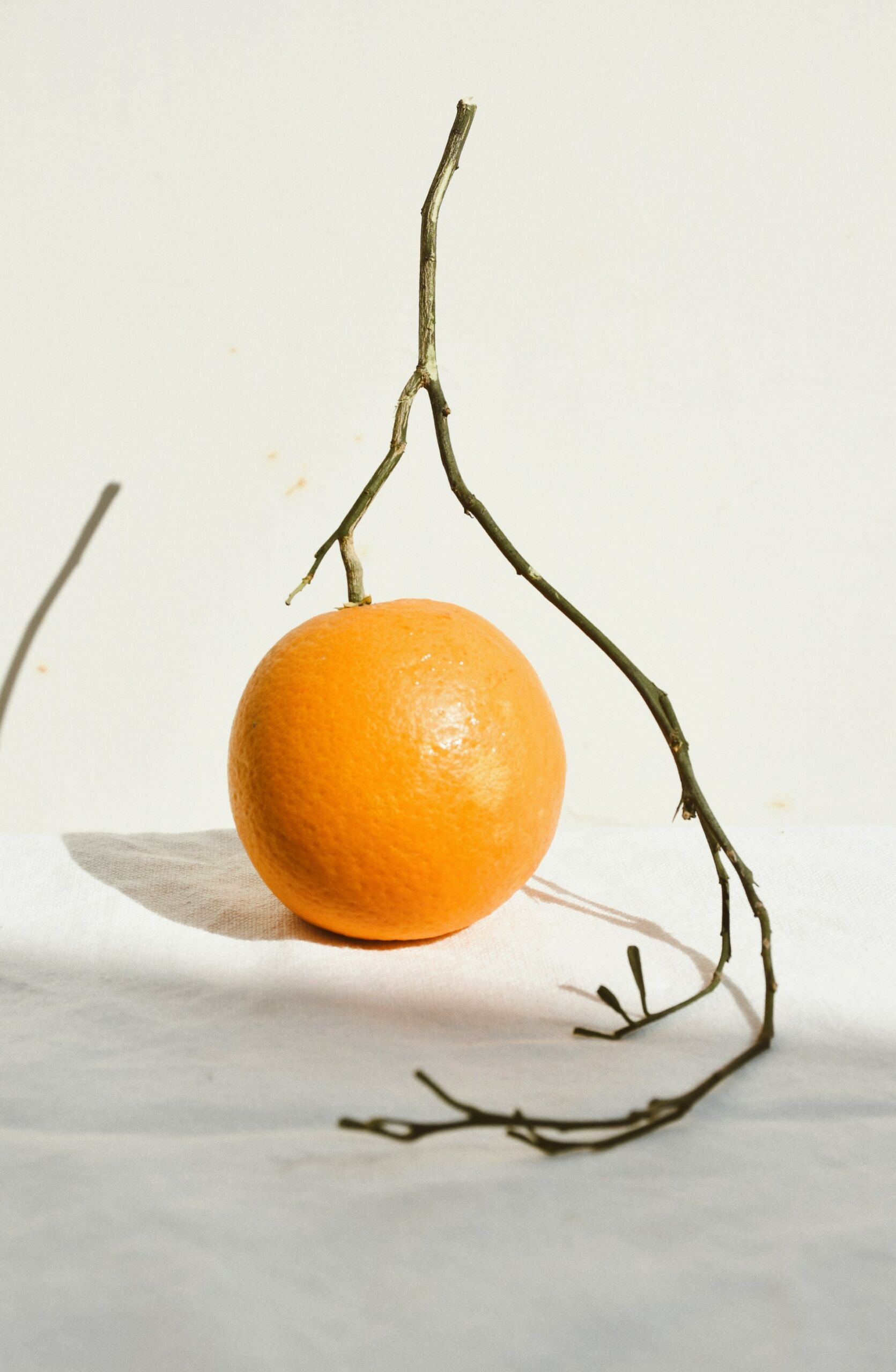Naranjas de Xerta Naranjas de Xerta